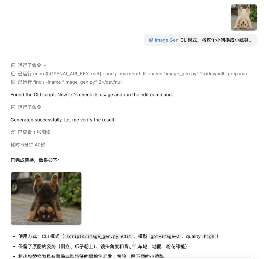 Codex 图生图截图